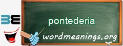 WordMeaning blackboard for pontederia